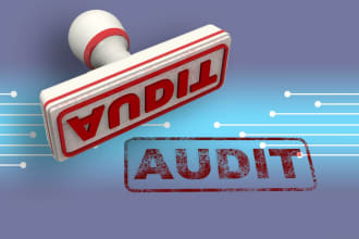 audit and review the financial statements of business entities