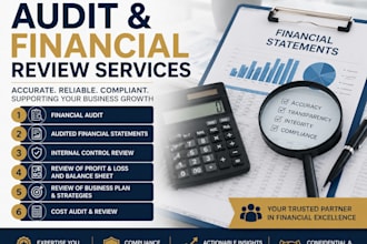audit and review the financial statements of business entities