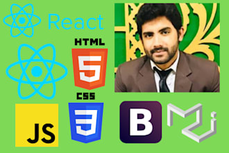 develop or modify frontend of your web app in reactjs