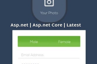 sure develop attractive dot net app