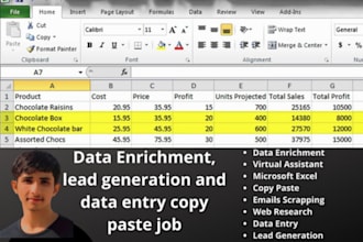 be your virtual assistant for data entry for 4 hours