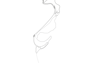 design amazing erotic and nsfw one line art in 24 hours