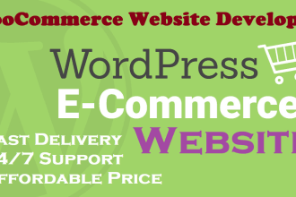 build responsive wordpress ecommerce store, shop website