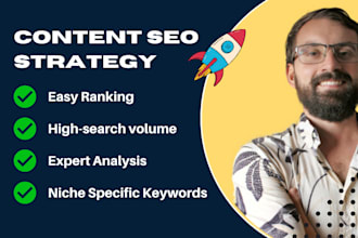 do perfect website SEO optimization on page and technical