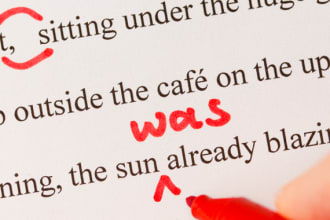 copyedit your manuscript, novel or nonfiction