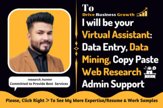 be your virtual assistant for data entry data mining web research admin support