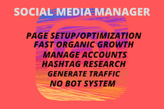 be your expert instagram manager
