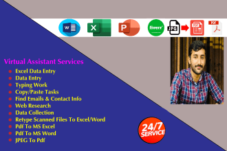 do fast data entry, virtual assistant, excel data entry work