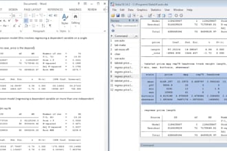 analyze data using stata for statistical insights