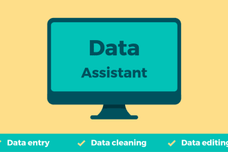 do perfect data entry, web research, copy paste in low price