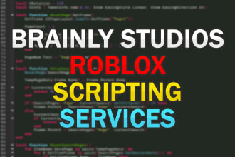 script for you on roblox as a professional scripter