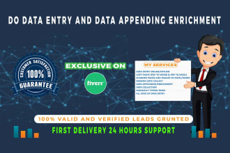 do data entry and data enrichment