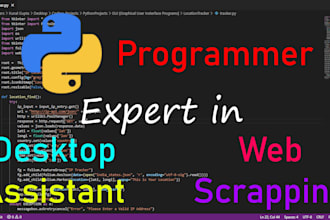 be your python programmer