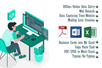 do excel data entry, web research, copy paste, file conversion, typing