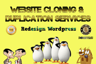 copy, duplicate or clone any website with quality work