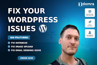 fix your wordpress errors, issues  or problems
