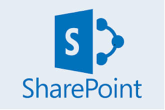 provide sharepoint, spfx, ms 365, powerapps, automate and power bi solutions