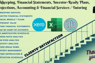 assist you in accounting, finance, financial statements, projections, forecasts