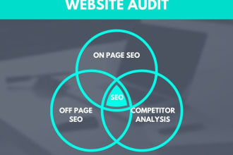 provide professional website audit report