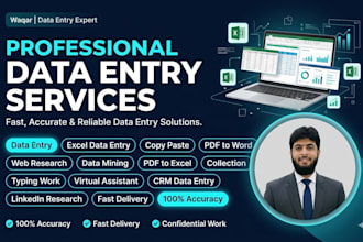 do accurate data entry, excel data entry, web research and copy paste work