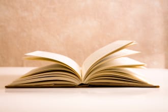 write you a flash fiction story up to 500 words