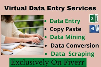 do data entry, data management and data collection