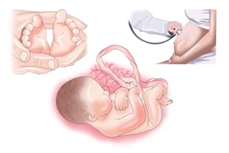 do medical illustration for you