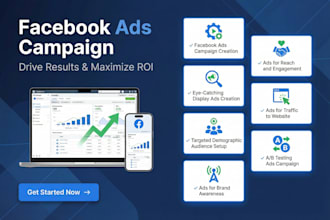 set up and optimize facebook ads campaign