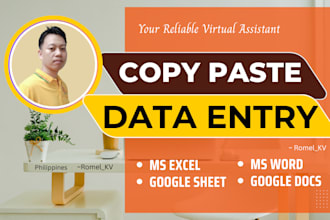 be your virtual assistant for data entry, copy paste to excel and google sheets