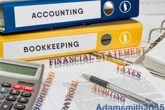 provide accounting, bookkeeping, audit and taxes