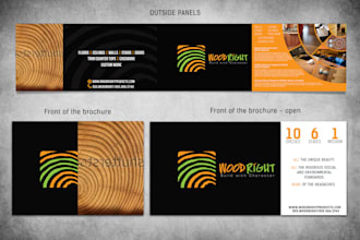 design attractive brochure or FLYER