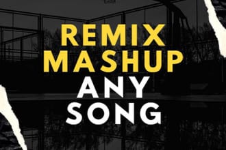 remix, mashup your songs of choice