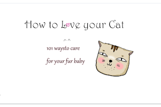 make covers for your e book