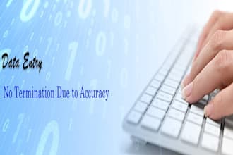 do the translation, data entry, and ms office work