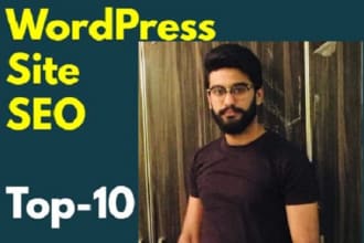 provide you wordpress site SEO ranking services optimization