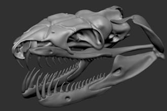 model an animal or human skull, bones, etc