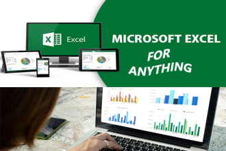 do excel dashboard,custom spreadsheet,functions,formulas,vba macros,data entry