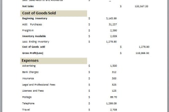 do data entry, excel, word, double entry, balance sheet and income statement