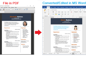 automate jobs with vba macros, formulas, in excel, word powerpoint and PDF