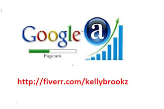 send 20000 Real USA Hits to boost Website rank