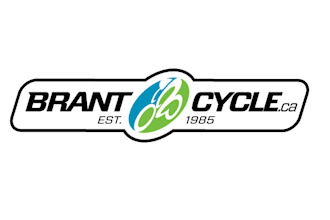 design professional modern cycle logo with copy rights
