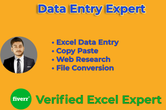 do excel data entry, copy paste and file conversion