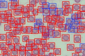 do computer vision deep learning tasks with python