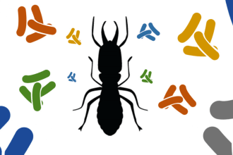 assist you in parasitology and microbiology