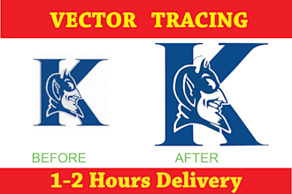 vector trace or redraw your logo in vector format