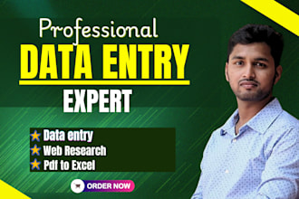 do data entry, typing work, product listing, excel work, copy paste
