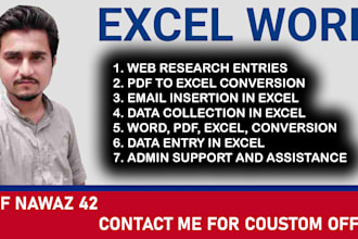 excel data entry and web research