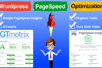 do speed optimization for google page speed insights, gtmetrix, pingdom