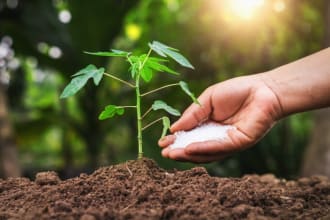 develop your fertilizer products
