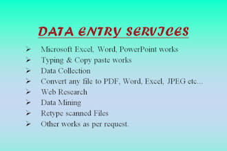 provide professional data entry, excel spreadsheet work, and online research